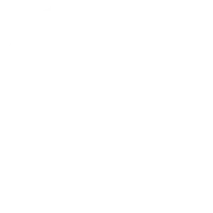 Debris Discs logo white