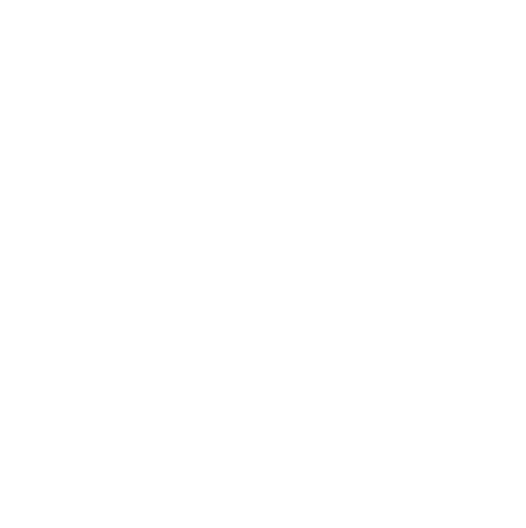 Debris Discs logo white