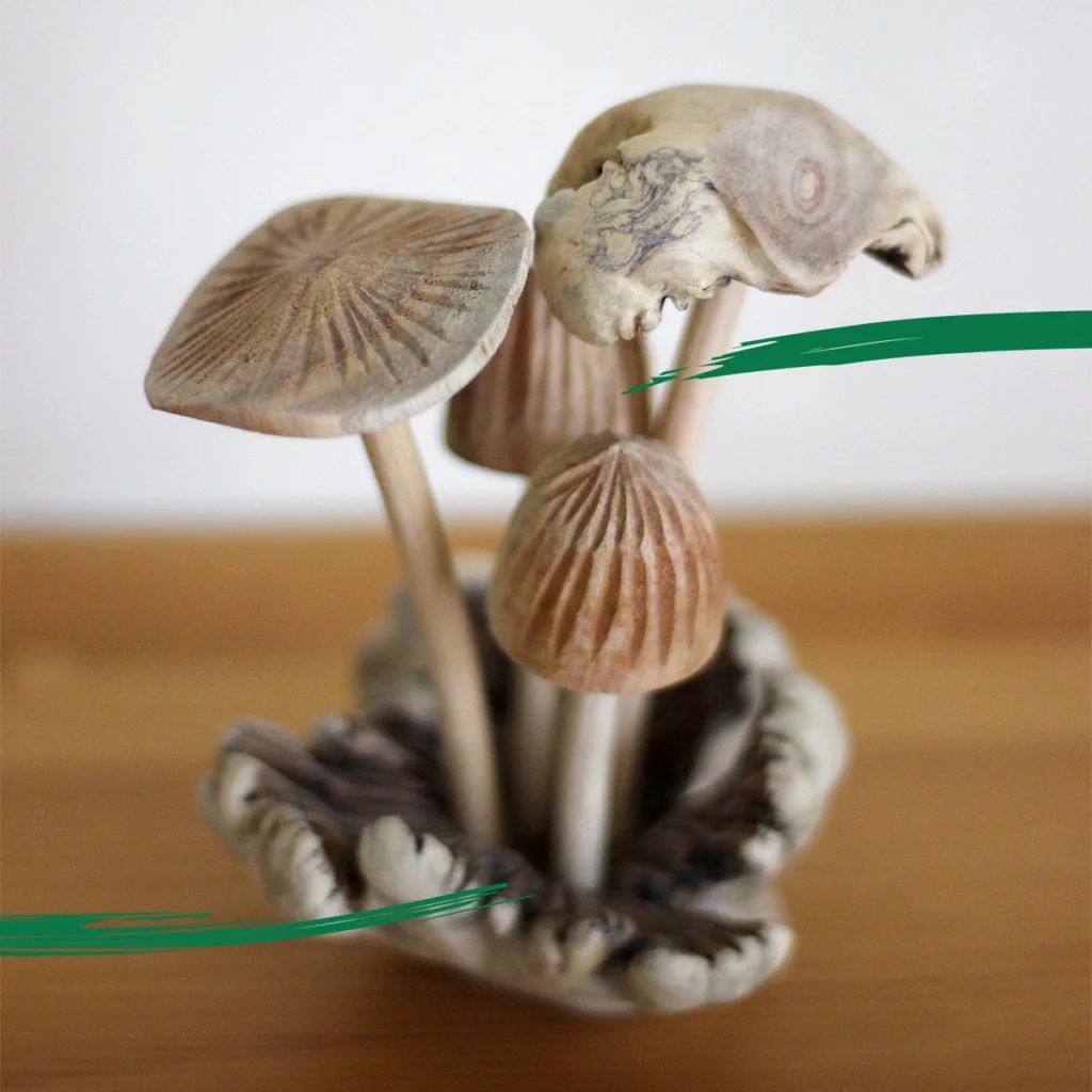 Parasite mushroom ornament example product image for Shiny Happy Eco by Mode=Create.